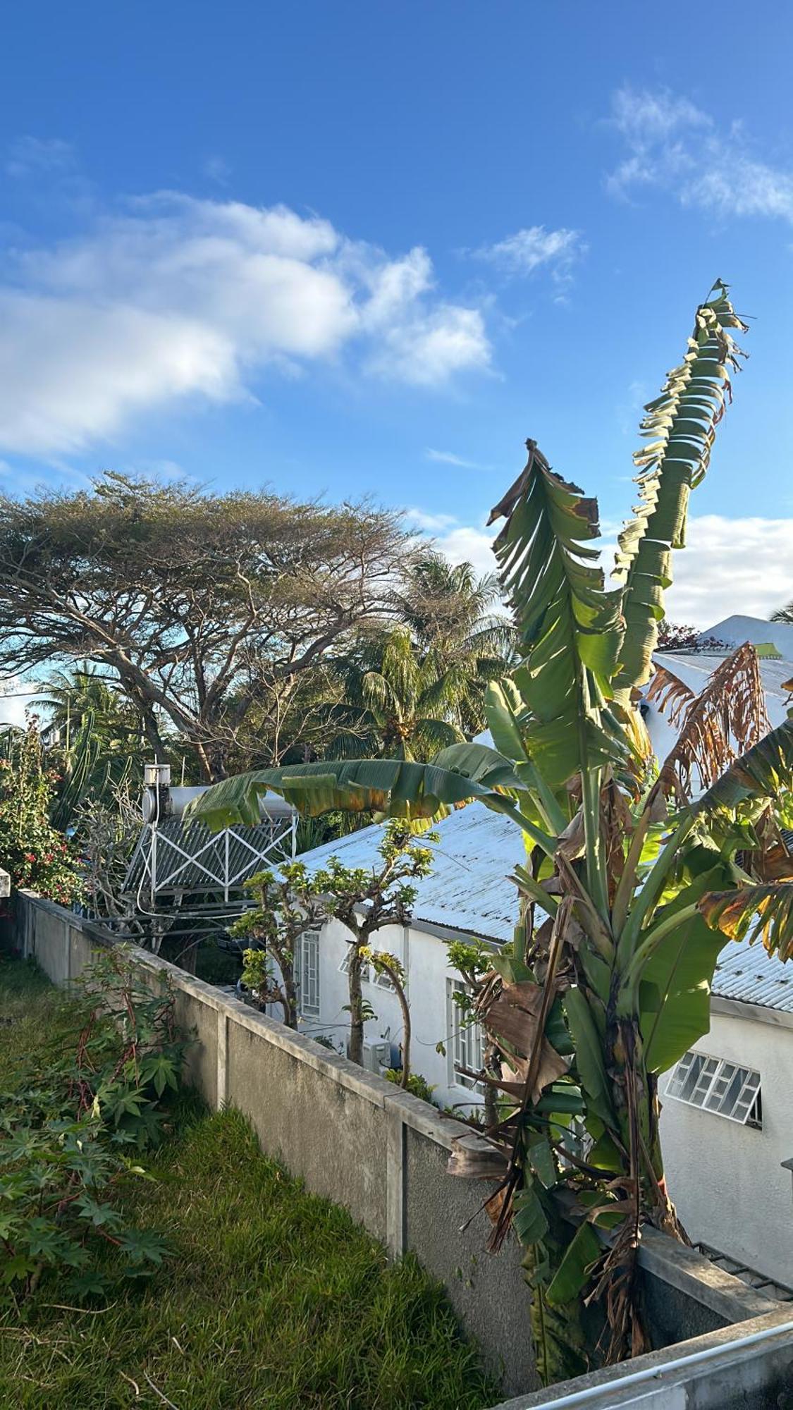 Coastal View Apartments Grand-Baie Eksteriør bilde